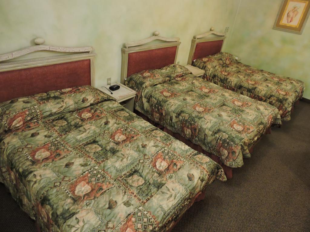 Hotel Quinta Cesar 산 후안 데 로스 라고스 외부 사진